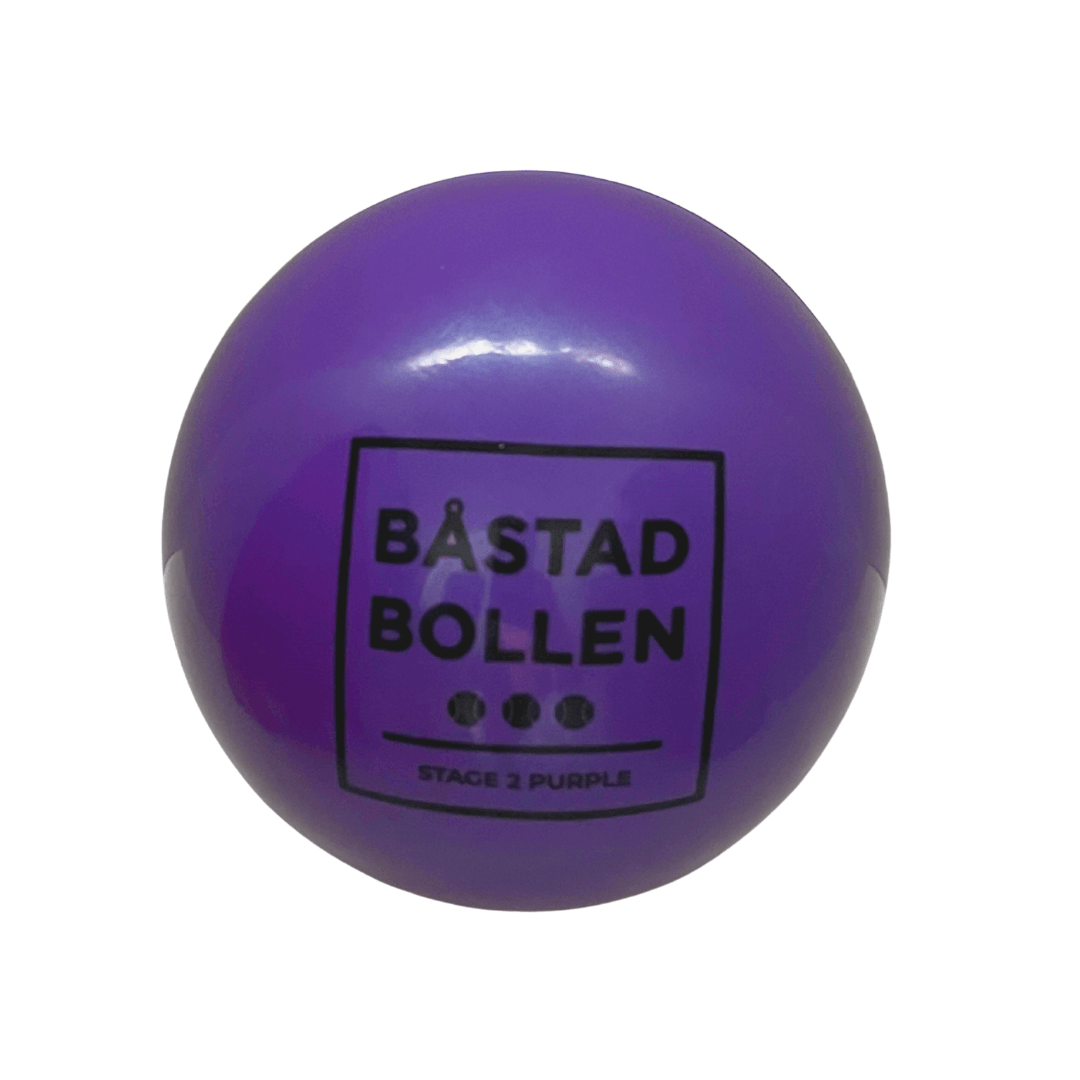 Purple large tennis ball 2-pack