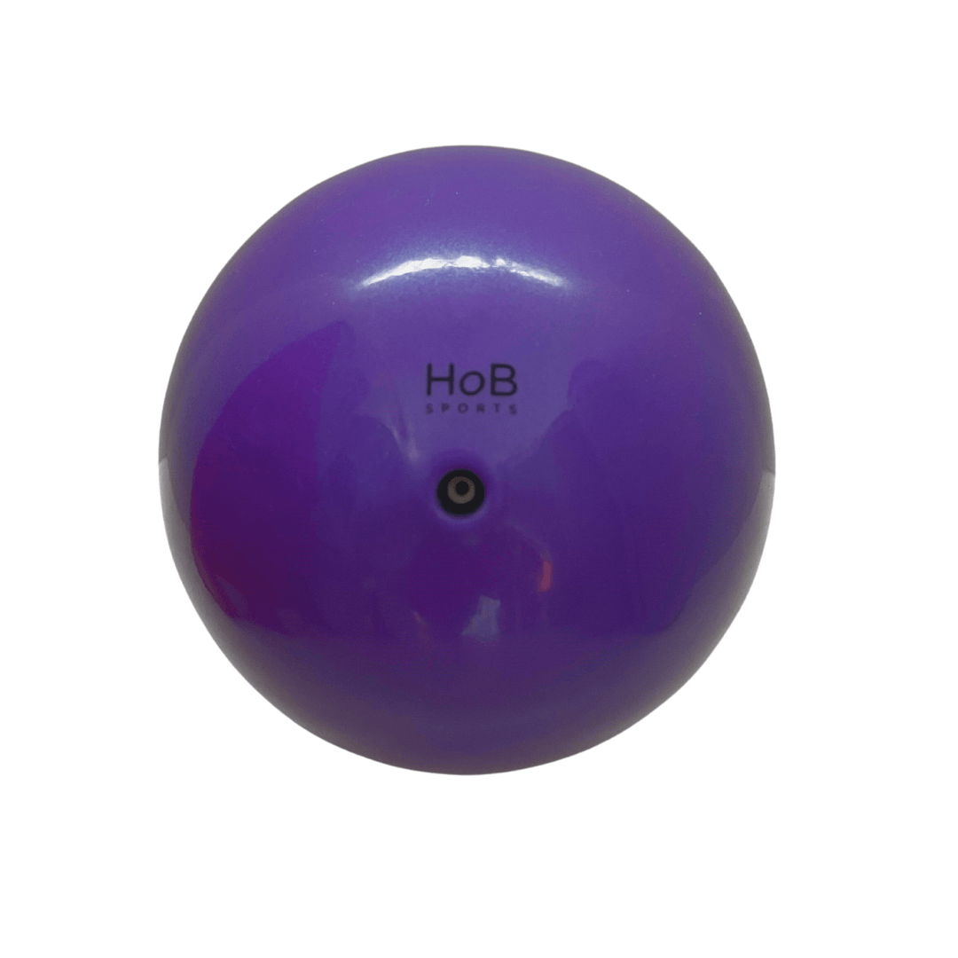 Purple large tennis ball 2-pack