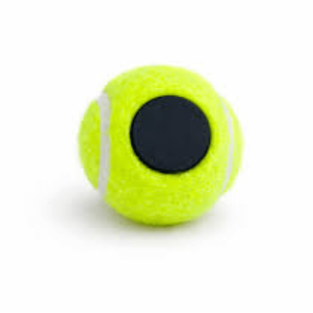 Wilson Tennis Ball Magnet Roland Garros